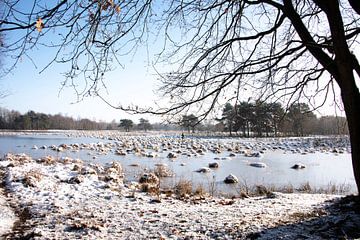 Winter... van Ans Bastiaanssen
