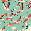 Retro Flamingo Illustratie van Lauren Wilde