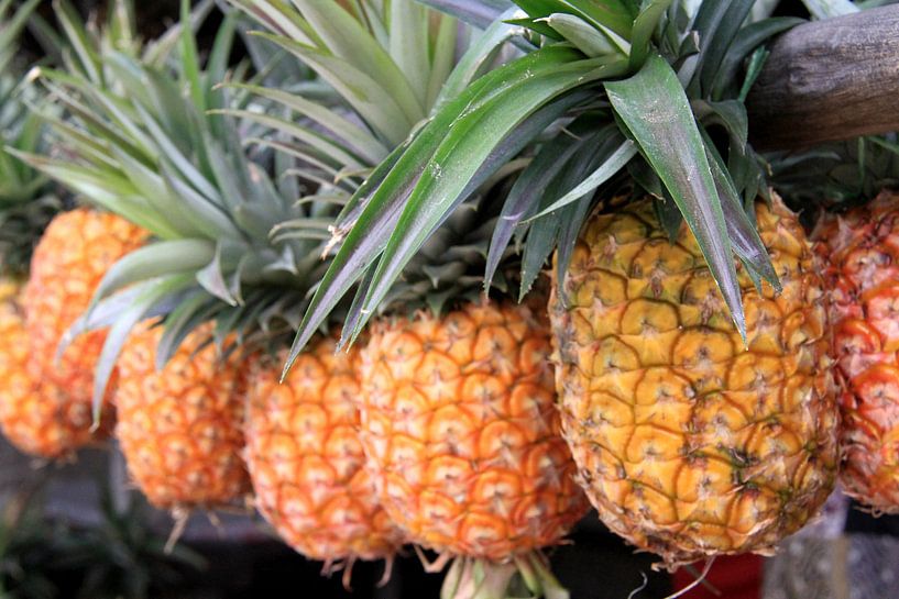 Pineapples by Gert-Jan Siesling