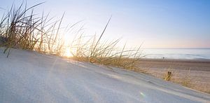 Nederlands strand bij zonsondergang van Arjan van Duijvenboden