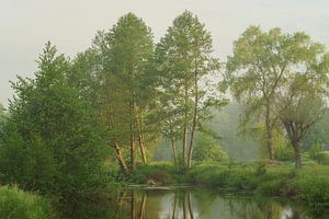 Stille Dämmerung