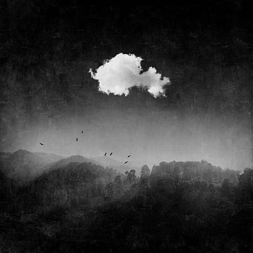 Cloud over dark forest landscape by Dirk Wüstenhagen