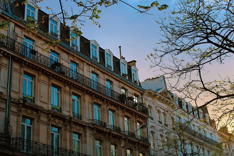 A morning in Brussels by Scarlett van Kakerken