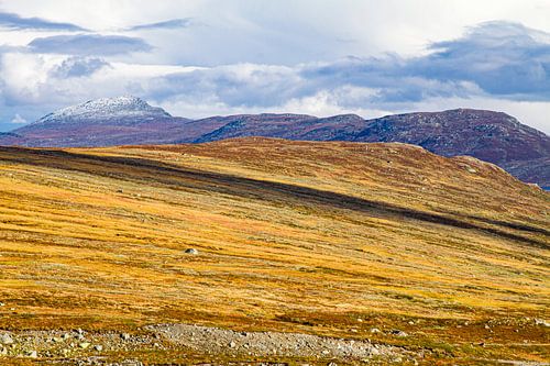Jotunheimen