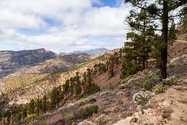 Beautiful scenery around San Bartolomé de Tirajana, Gran Canaria, Spain. by Marjolein Zijlstra