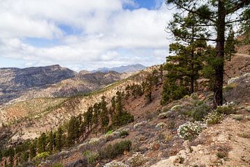 Prachtig landschap rond San Bartolomé de Tirajana, Gran Canaria, Spanje. van Marjolein Zijlstra