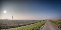 Flevolandschap #02