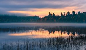 Automne à l'étang Connery dans le parc national des Adirondacks. sur Henk Meijer Photography