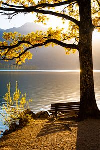 Bank am See