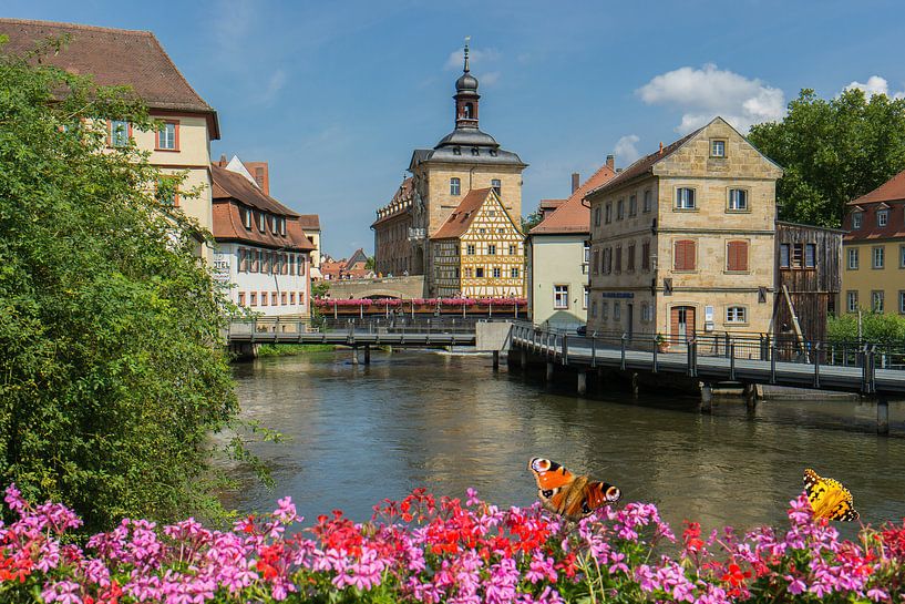 Gezicht op het oude stadhuis van Bamberg van Animaflora PicsStock