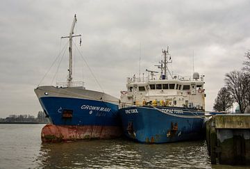 Cargo ships moored at the Parkkade Rotterdam. by scheepskijkerhavenfotografie