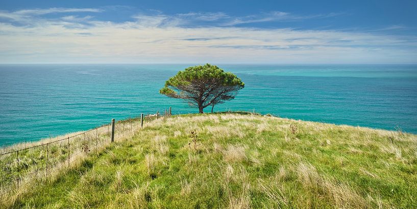 Banks Peninsula von Rainer Mirau