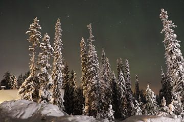 Noorderlicht Fins Lapland van Christel Smits