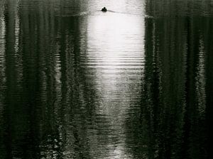 Lonely swimmer von Mirakels Kiekje