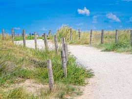 Pad op het strand van Holland
