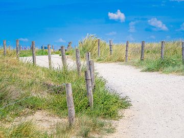 Pad op het strand van Holland van Mustafa Kurnaz