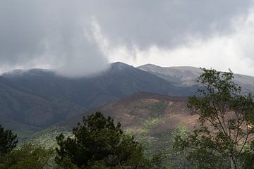 Cloudy by Michelle van Merrienboer