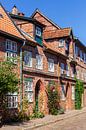 Historische Fachwerkhäuser, Altstadt, Lüneburg von Torsten Krüger Miniaturansicht