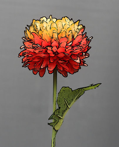 Blume in Stille.
