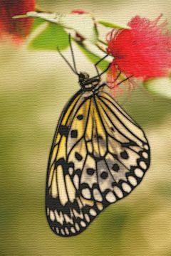 Papillon en papier sur toile