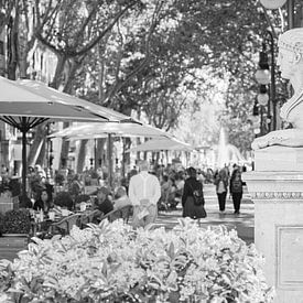 Passeig des Born, Palma Mallorca, Spanien, schwarz-weiß von Alex Winter