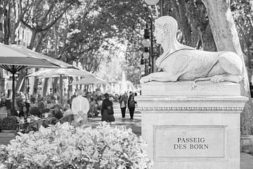 Passeig des Born, Palma Majorque, Espagne, noir et blanc