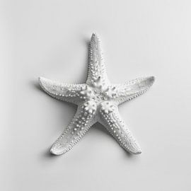 Starfish by Poster Art Shop