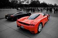 Ferrari Enzo rood en zwart op zwart witte achtergrond