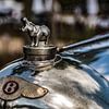 Bentley nijlpaard radiator ornament van autofotografie nederland