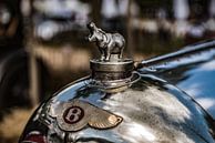 Bentley nijlpaard radiator ornament van autofotografie nederland thumbnail