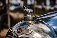 Bentley mit Nilpferd