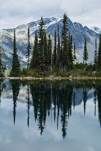 Standing reflection mountain and trees Canadian lake sur Milou Mouchart