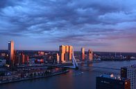 Die Rotterdam in der Sonne von Marcel van Duinen Miniaturansicht
