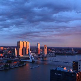 De Rotterdam in de Zon van Marcel van Duinen