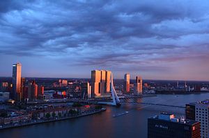 Le Rotterdam au soleil