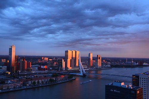 Le Rotterdam au soleil