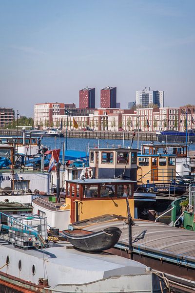 Boten in Rotterdam par Jasper Scheffers