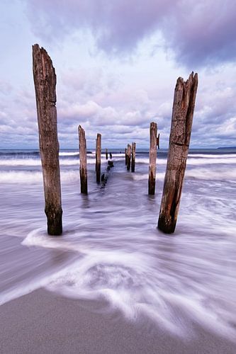 Wooden poles on the beach