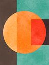 Kleuren in harmonie 1 van Vitor Costa thumbnail
