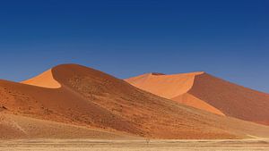 Sossusvlei Namibië  (5) van Adelheid Smitt