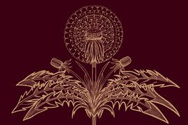 Pissenlit | Soufflant | Illustration | Rétro sur Jansje Kamphuis