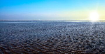 Waddenzee van Bo Valentino