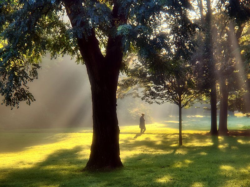 Lumière du matin par Edgar Schermaul