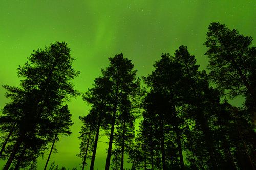 Noorderlicht in Finland
