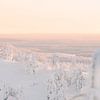 Zonsondergang en besneeuwde bomen | Reisfotografie print | Lapland Finland van Kimberley Jekel