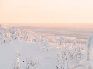 Sonnenuntergang und verschneite Bäume | Reisefotografie-Druck | Lappland, Finnland