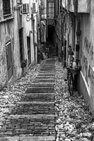 The atmosphere of Genoa