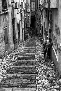 The atmosphere of Genoa