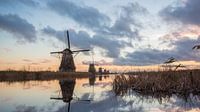 Prachtige zonsopkomst in Kinderdijk van André Hamerpagt thumbnail