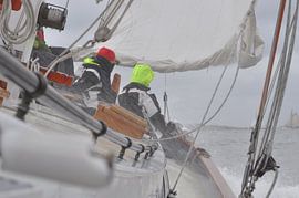 Den Ausleger bügeln von Mirjam Visscher